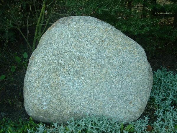Findlinge, Bild 4