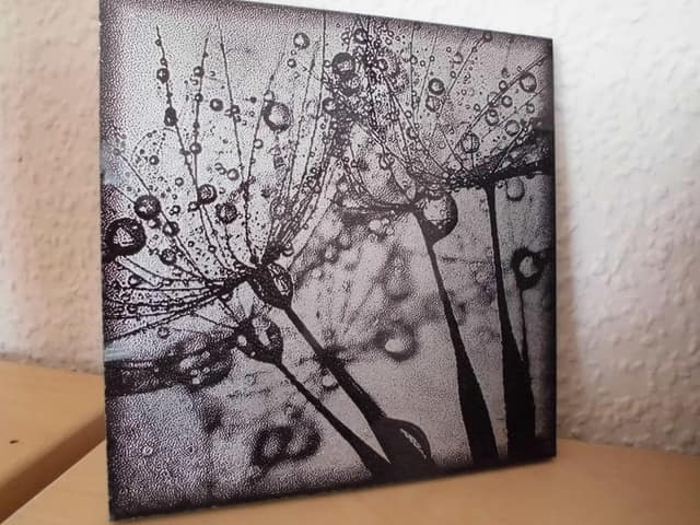Ornamente, Bild 14